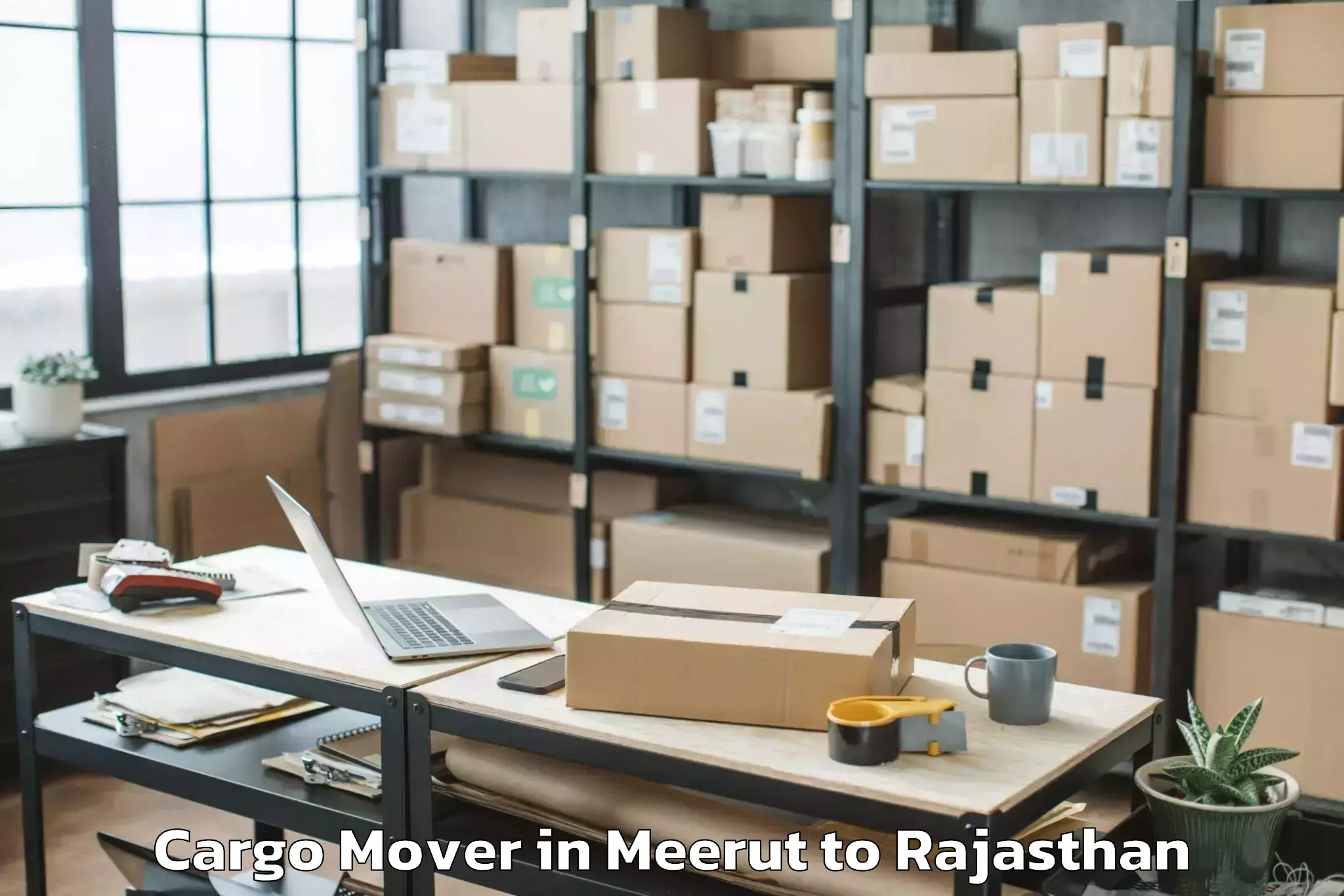 Book Meerut to Chittorgarh Cargo Mover Online